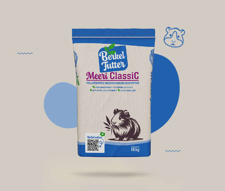 Meerschweinchen Futter Highlight